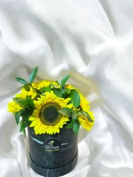 Caja Redonda De 5 Girasoles Con Rusco