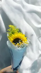 Solitario De Girasol Con Follaje