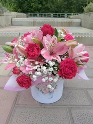 Caja Con Clavel, Astromelia Y Gypsophila