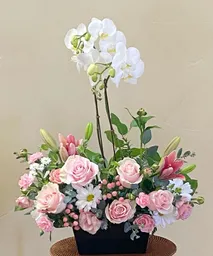 Caja Con Rosa, Margarita, Lirios Y Orquidea