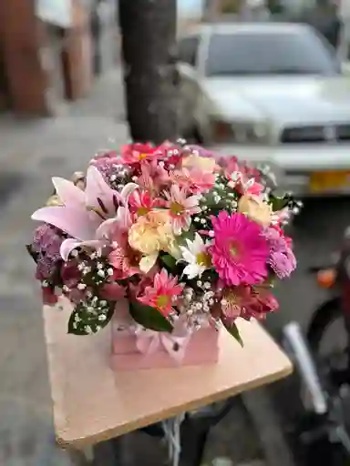Caja Variada