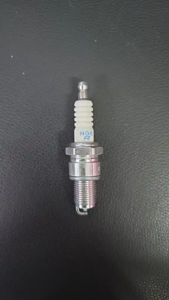 Bujia Universal Ngk X4