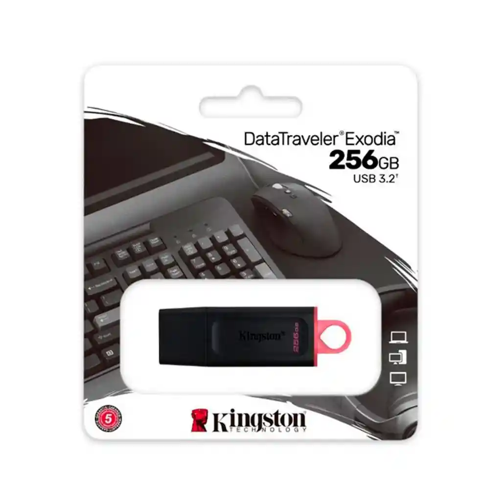 Memoria Usb Kingston 256gb 3.2 Gen 1 Negra Y Rosa