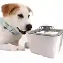 Bebedero Para Mascotas