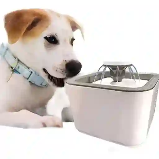 Bebedero Para Mascotas