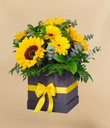 Flores Girasoles Gerberas Caja