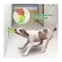 Juguete Para Perro Forma Maíz Limpieza Dientes Interactivo