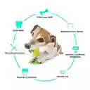 Juguete Para Perro Forma Maíz Limpieza Dientes Interactivo