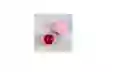 Balsamo Tono Cherry Hidratante Bloom Amore Mio Bloomshell