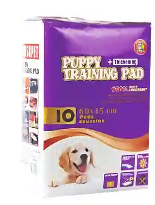 Tapetes Puppy Training 60 X 45