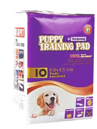 Tapetes Puppy Training 60 X 45