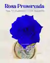 Rosa Preservada Tipo Exportación Color Azul