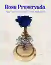 Rosa Preservada Tipo Exportación Color Azul