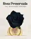 Rosa Preservada Tipo Exportación Color Negro