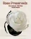 Rosa Preservada Basic Color Blanco