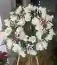 Corona Funebre