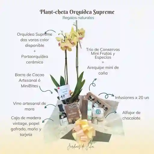 Plant-cheta Orquidea Supreme
