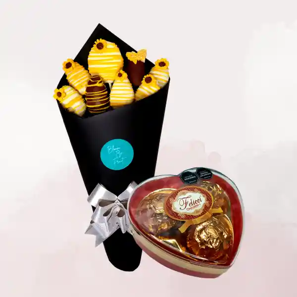 Combo Girasol