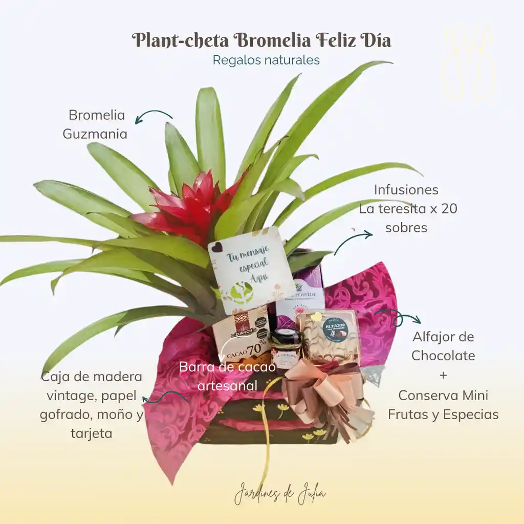 Plant-cheta Bromelia Feliz Día