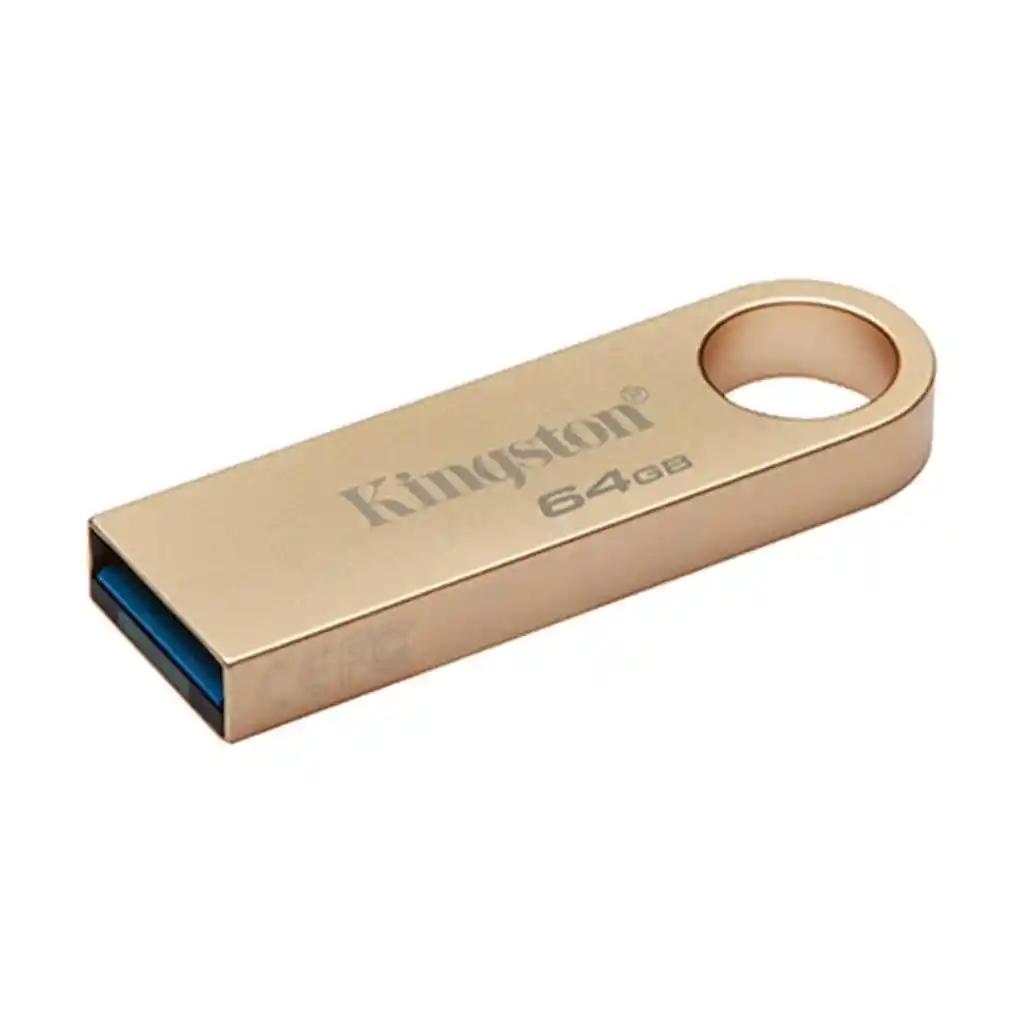Memoria Usb Kingston 64gb Datatraveler Se9 G3 Usb 3.2 Gen 1 Metálica