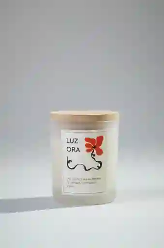 Luz Ora - Cítrico
