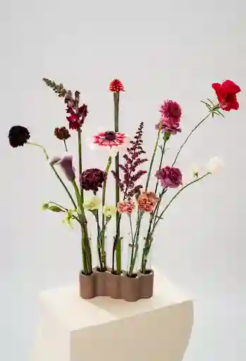 Laboratorio - Berries