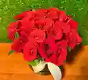 Caja Amor Clásico – Rosas Eternas
