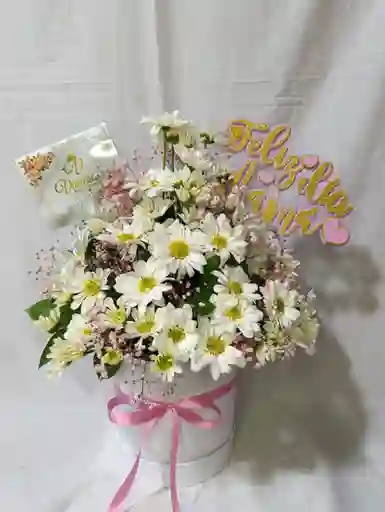 Box Para Mamá