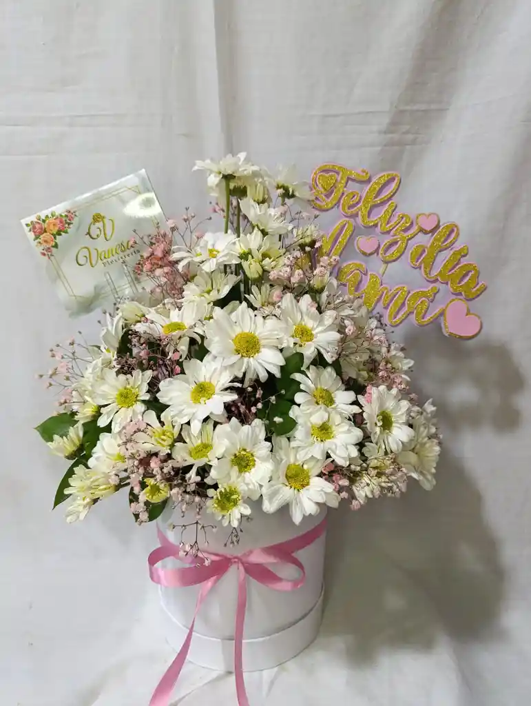 Box Para Mamá