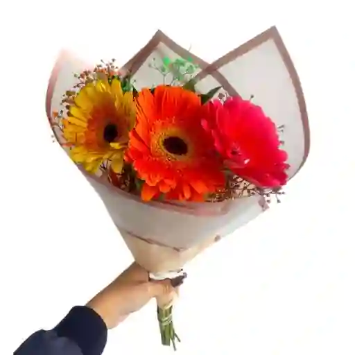Bouquet 3 Gerberas