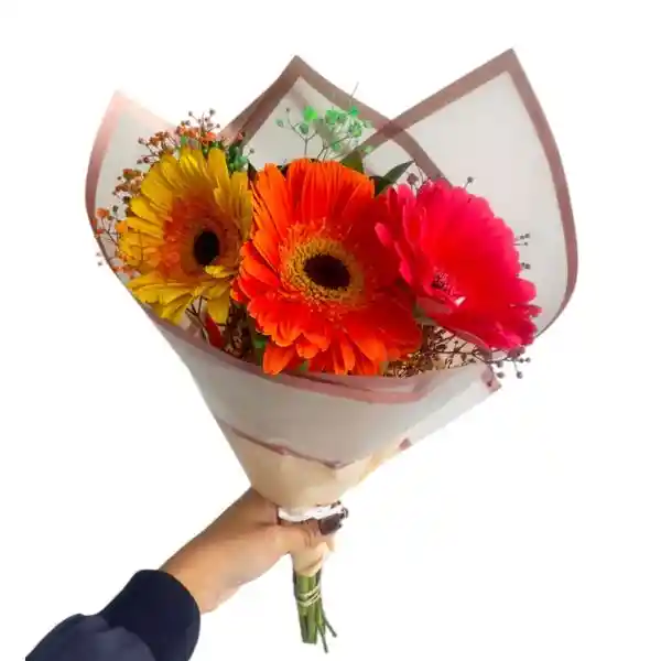 Bouquet 3 Gerberas