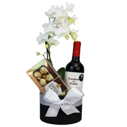 Orquidea En Planta Con Vino Y Chocolates