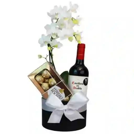 Orquidea En Planta Con Vino Y Chocolates