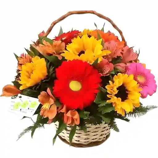 Canasta De Girasoles Y Gerberas