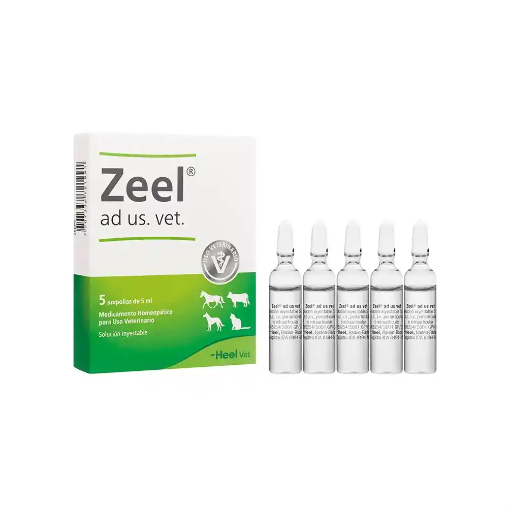 Zeel Ad Us X Amp