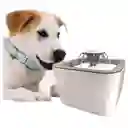 Bebedero Para Mascotas