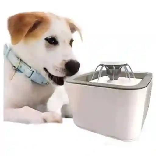 Bebedero Para Mascotas
