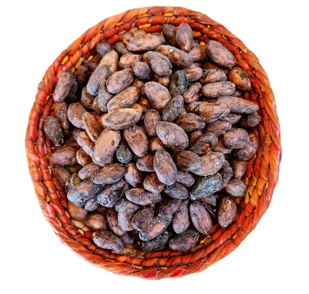 Grano O Pepa De Cacao 100% Organico, Fermantado Y Seco Al Sol