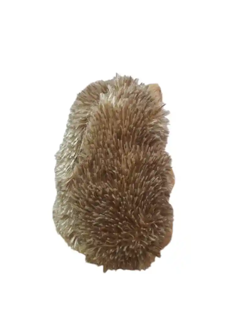 Peluche Puercoespín Cafe
