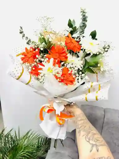 Gerberas