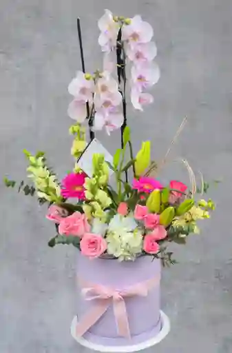 Diseño Floral Con Planta De Orquidea