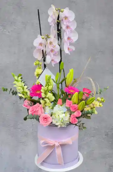 Diseño Floral Con Planta De Orquidea