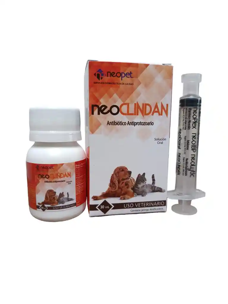 Neoclindan - Clindamicina