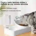 Comedero Y Bebedero Dispensador Para Gatos Y Perros