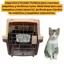 Maleta Guacal Portátil Para Mascotas 58*37*37+ Regalo