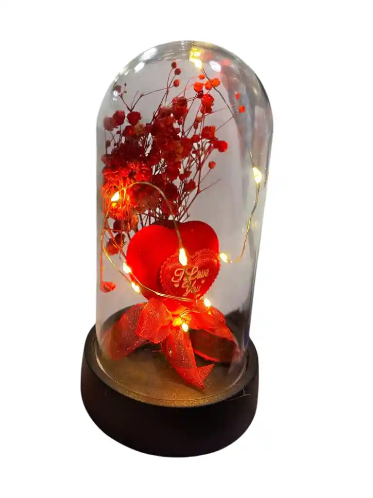 Cápsula De Amor Con Pétalos Y Luz