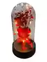 Cápsula De Amor Con Pétalos Y Luz