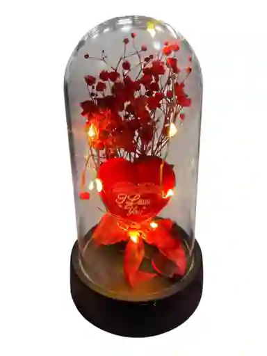 Cápsula De Amor Con Pétalos Y Luz