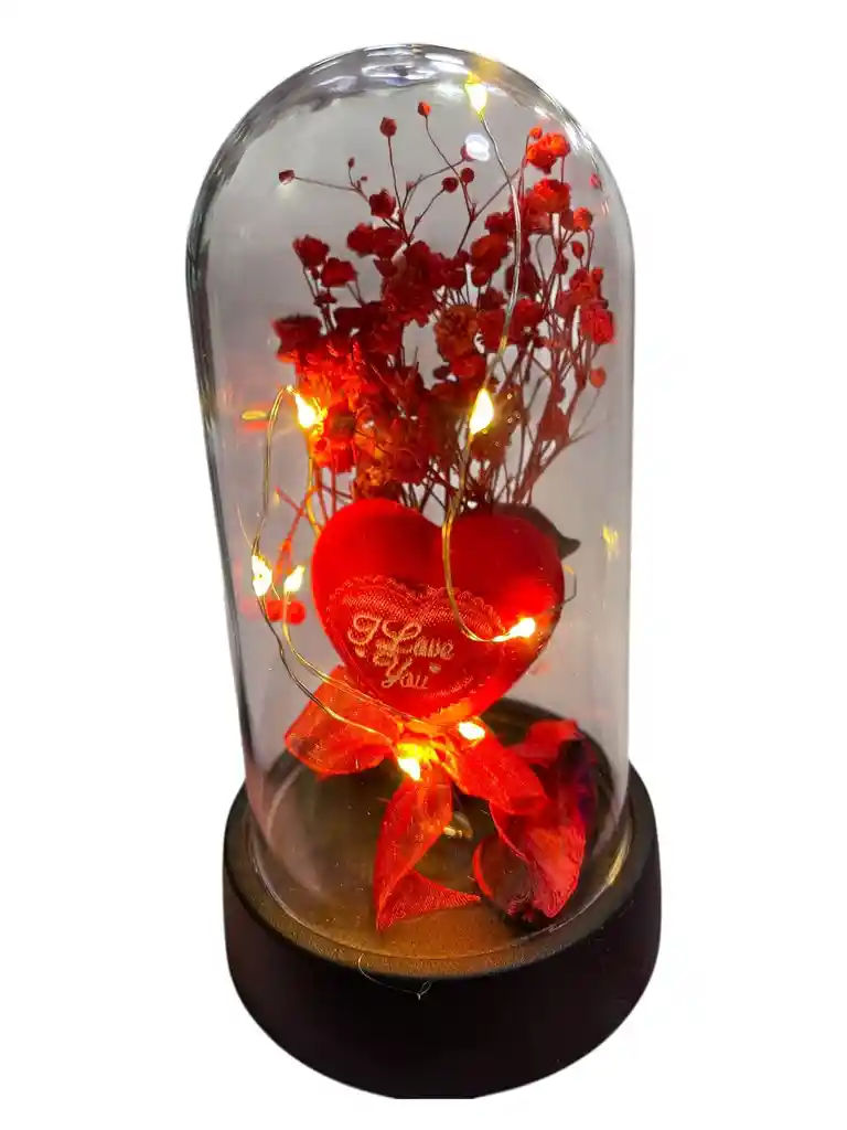 Cápsula De Amor Con Pétalos Y Luz