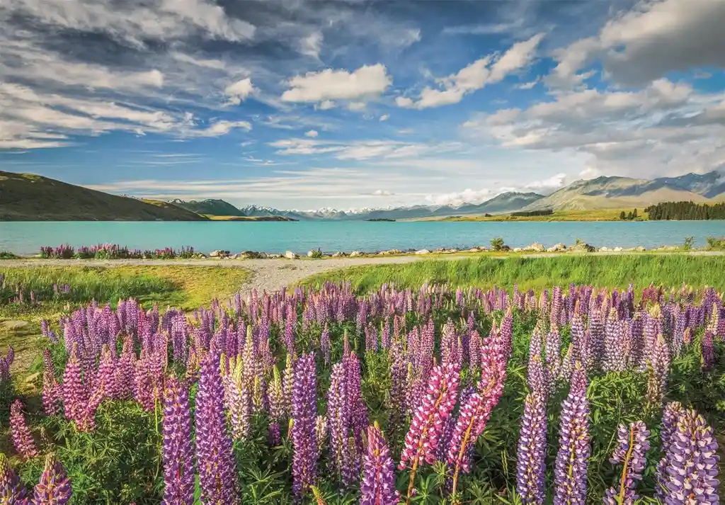 Rompecabezas 1500 Piezas Lago Tekapo Clementoni Para Adultos